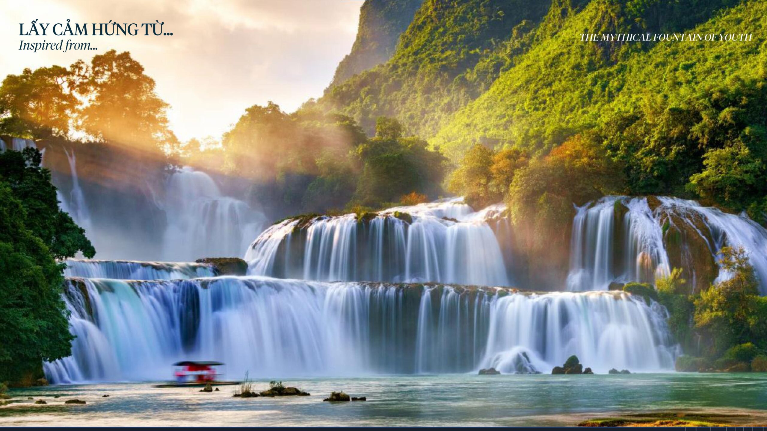 Tin tức