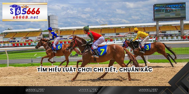 Cá Cược Đua Ngựa Trực Tiếp Hồi Hộp, Kịch Tính Từng Giây Phút