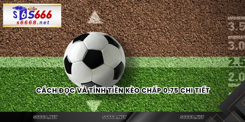 Kèo Chấp 3/4 – Cách Đọc Và Chọn Kèo Chuẩn Không Cần Chỉnh