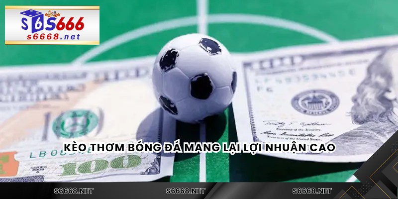 Thể thao s666 - s666 🎖️ Link S666.COM, Thưởng Chào Mừng +188K Cho Tân Thủ