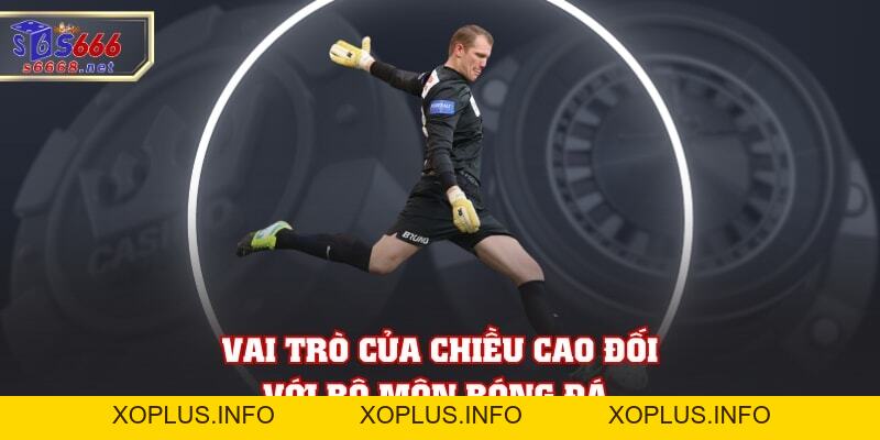 Top 5 Cầu Thủ Cao Nhất Thế Giới Với Chiều Cao Cực Khủng!